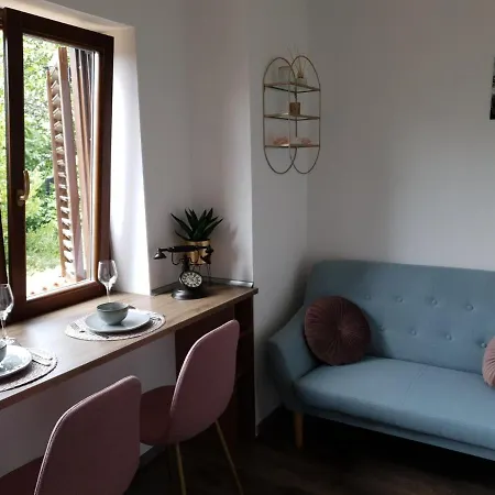 Apartament Arena Delight *