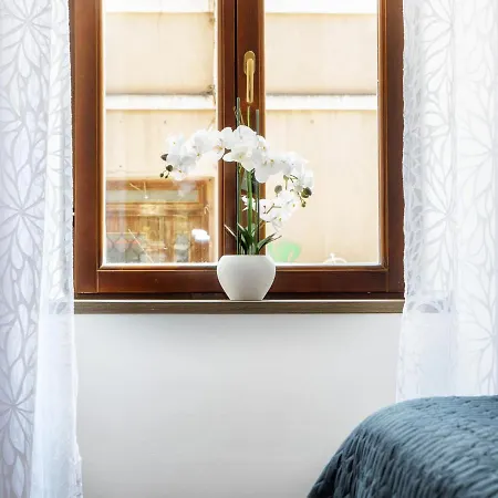 דירה Arena Delight *